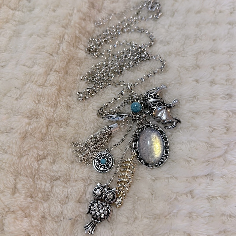 Aeropostale Long Charm Necklace